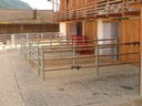 EcoRaster P44 Paddock2